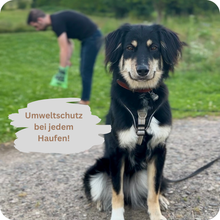 Lade das Bild in den Galerie-Viewer, Beste Kotbeutel 2025 - PooPick