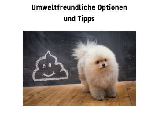 Hundekot korrekt entsorgen