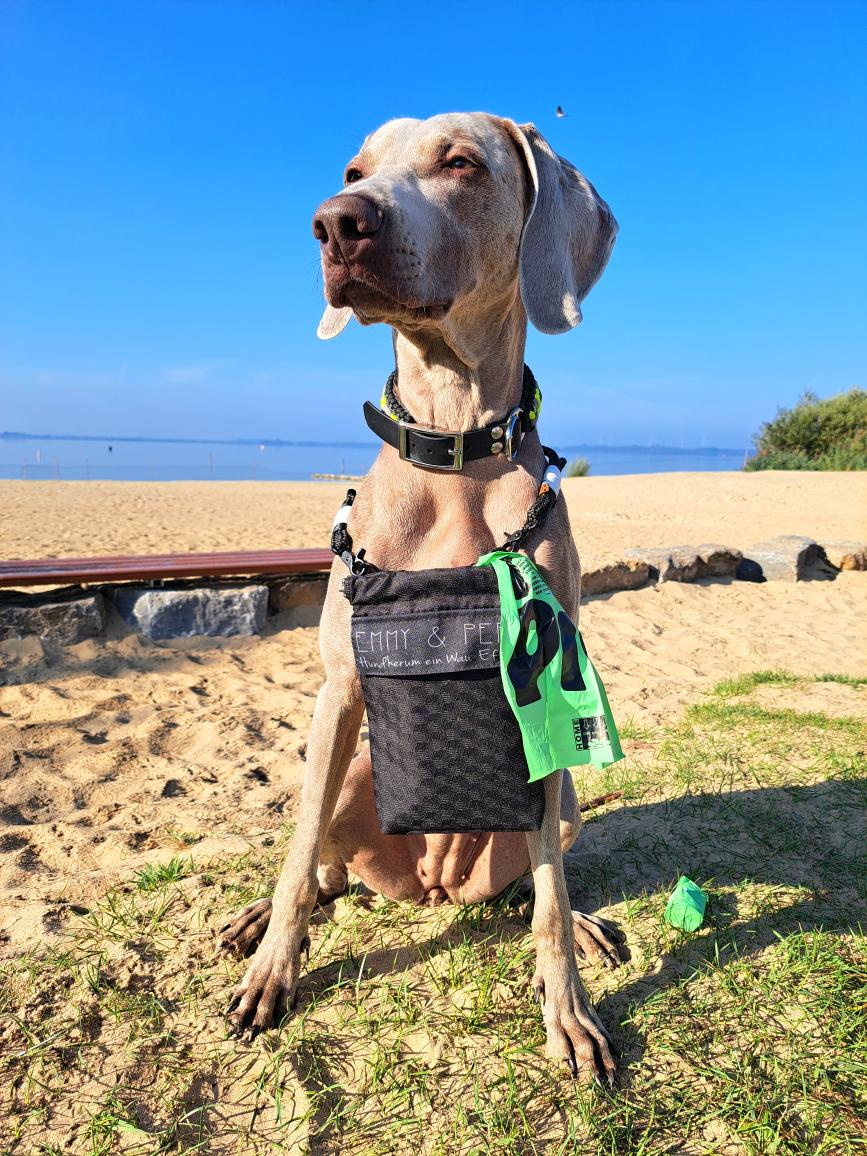 Gassitasche: Wau-To-Go