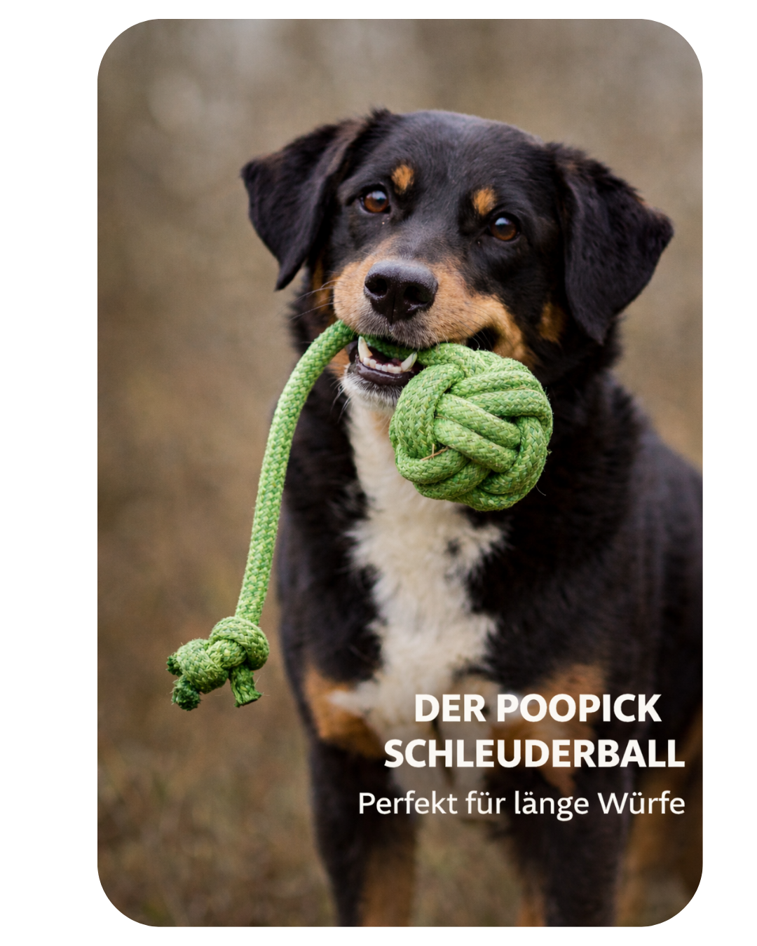 Schleuderball – robust & perfekt zum Auspowern