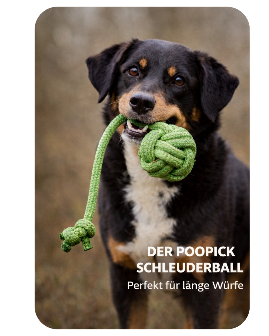 PooPick Schleuderball