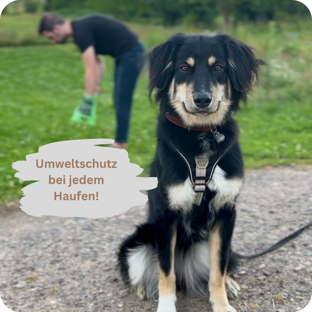 Beste Kotbeutel 2025 - PooPick