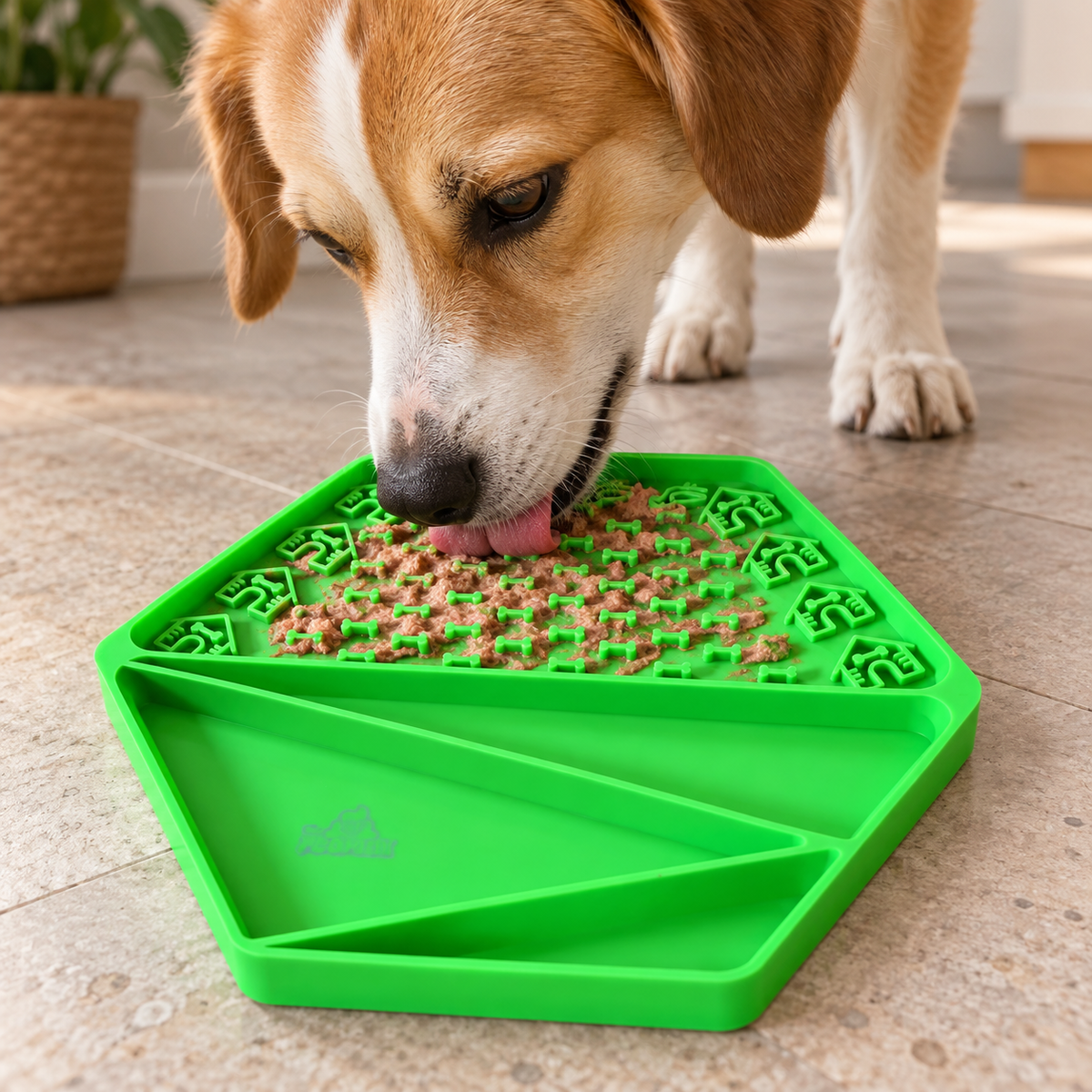 Hund schleckt Nassfutter aus dem strukturierten Bereich der grünen PooPick Schleckmatte