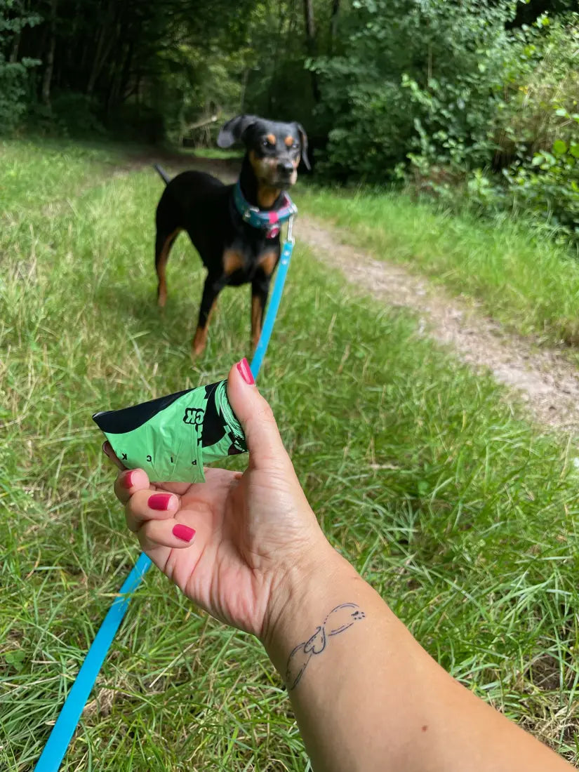 PooPick-Rolle in der Hand, Hund an der Leine auf einem grünen Gassiweg